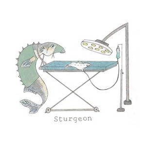 'Sturgeon' - by Funny Bird
