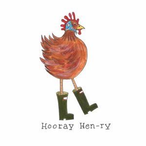 'Hooray Henry' - by Funny Bird