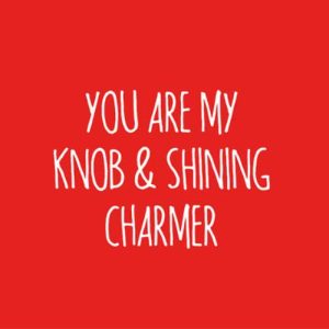 'You are my knob & shining charmer' by Funny Bird